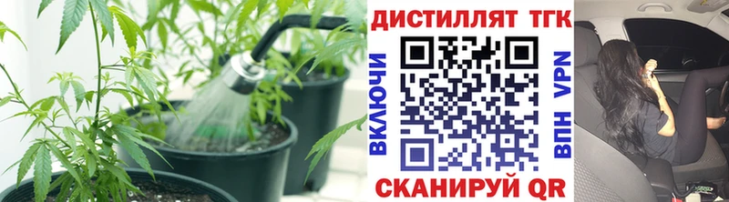 Дистиллят ТГК вейп  Ивангород 