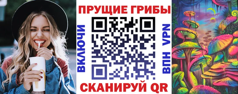 купить наркоту  shop клад  Псилоцибиновые грибы Psilocybe  Ивангород 